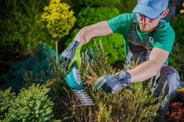 landscaping services Coldwater